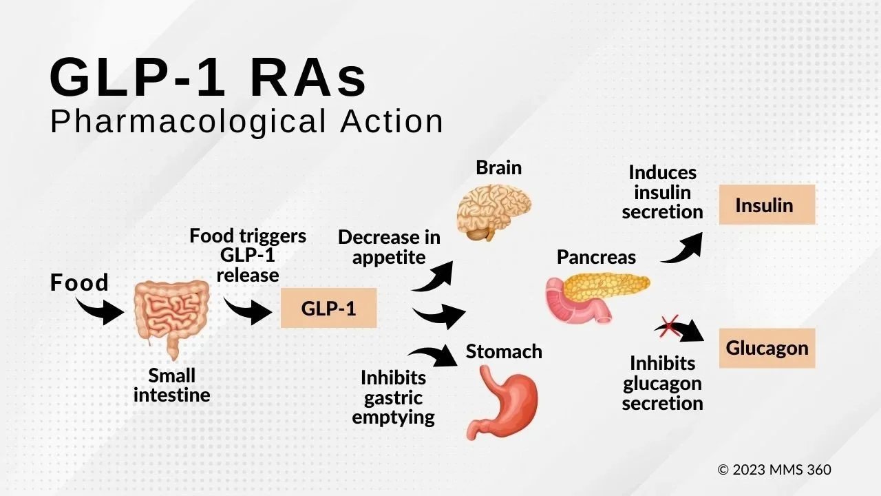 Schema acțiunii GLP-1 în pancreas, tractul gastrointestinal și creier